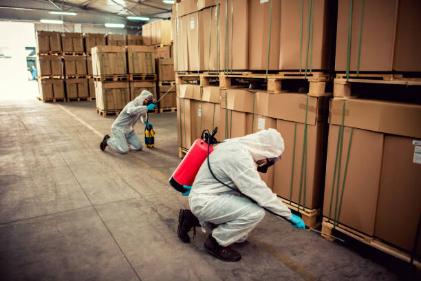 Wasp Removal Services in Oakland, IA