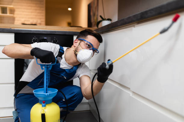 Best Local Pest Control Services  in Oakland, IA
