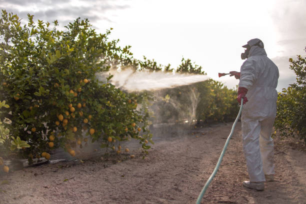 Best Affordable Pest Control Services  in Oakland, IA