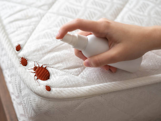 Best Pest Control for Businesses  in Oakland, IA