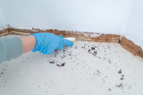 Best Pest Control Near Me in Oakland, IA
