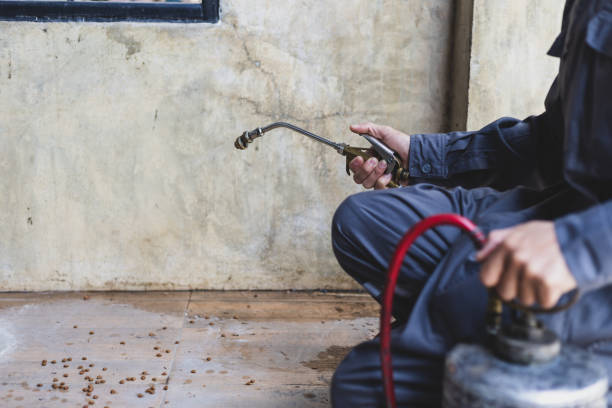 Best Pest Removal Services  in Oakland, IA